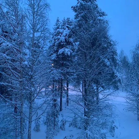 Susihukka & Punahilkka With Sauna 公寓 *