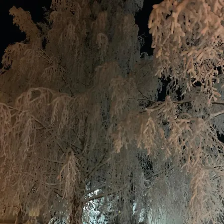 公寓 Susihukka & Punahilkka With Sauna *