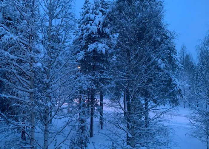 Susihukka & Punahilkka With Sauna Апартаменты *