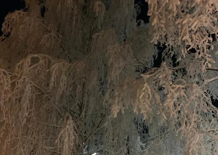 Apartment Susihukka & Punahilkka With Sauna *